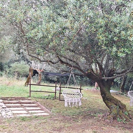 Moradia Rural De Charme Agradavel E Acolhedora Villa Arrimal Exterior foto